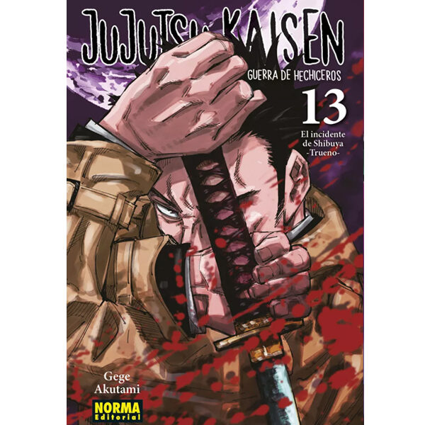 JUJUTSU KAISEN 13