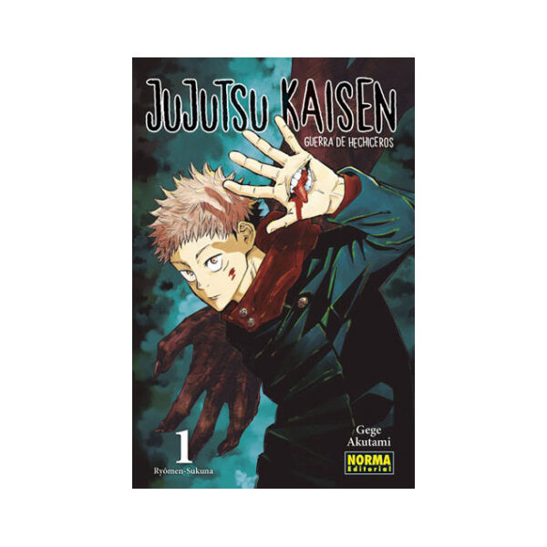 JUJUTSU KAISEN 01