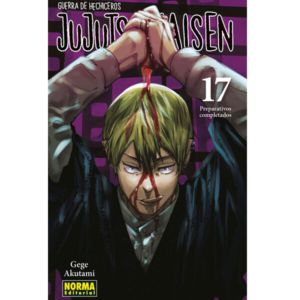 JUJUTSU KAISEN 17