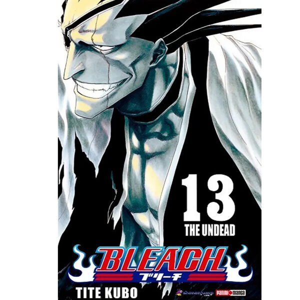 Bleach N.13