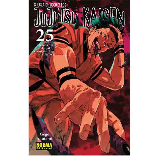JUJUTSU KAISEN 25