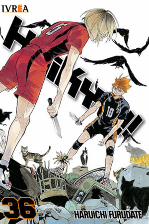 Haikyu 36 (Ivrea Argentina)
